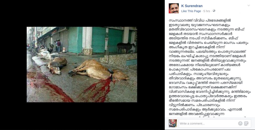BJP K Surendran posts fake photo of cow slaughter: സംസ്ഥാനത്ത് വിവിധ പ്രദേശങ്ങളിൽ ഇടതുവലതു യുവജനസംഘടനകളും മതതീവ്രവാദസംഘടനകളും നടത്തുന്ന ബീഫ് മേളകൾ തടയാൻ സംസ്ഥാനസർക്കാർ അടിയന്തിര നടപടി സ്വീകരിക്കണം. ബീഫ് മേളകളിൽ വിതരണം ചെയ്യുന്ന മാംസം പലതും അംഗീകൃത ഇറച്ചിക്കടകളിൽ നിന്ന് വാങ്ങുന്നതല്ല. പലയിടത്തും പൊതുസ്ഥലത്ത് നിയമം ലംഘിച്ച് കശാപ്പു നടത്തിയാണ് മേളകൾ നടത്തുന്നത്. ജനങ്ങളിൽ ഭീതിയുളവാക്കുന്നതും അരോചകമായ നിലയിലുമാണ് കാര്യങ്ങൾ പോകുന്നത്. പ്രകോപനപരമാണ് പല പരിപാടികളും. സാമൂഹ്യവിരുദ്ധരും തീവ്രവാദികളും അവസരം മുതലെടുക്കുന്നു. ദേവസ്വം വകുപ്പ് മന്ത്രി തന്നെ പരസ്യമായി ഗോമാംസം ഭക്ഷിക്കുന്നത് ലക്ഷക്കണക്കിന് വിശ്വാസികളെ വേദനിപ്പിച്ചിരിക്കുന്നു. മന്ത്രിമാരും ഉത്തരവാദപ്പെട്ട പൊതുപ്രവർത്തകരും ഇത്തരം ഭീഭൽസമായ സമരപരിപാടികളിൽ നിന്ന് വിട്ടുനിൽക്കണം. പ്രചാരണവും സമരപരിപാടികളും ആർക്കുമാവാം. എന്നാൽ ജനങ്ങളിൽ അവമതിപ്പുളവാക്കുന്ന ആഭാസസമരങ്ങളിൽ നിന്ന് ഉത്തരവാദപ്പെട്ടവർ പിന്മാറുന്നതാണ് എല്ലാവർക്കും നല്ലത്. തിരിച്ചുള്ള പ്രകോപനങ്ങളിലേക്ക് ദേശീയപ്രസ്ഥാനങ്ങളെ മനപ്പൂർവം വലിച്ചിഴക്കരുതെന്ന് ബന്ധപ്പെട്ട എല്ലാവരോടും അഭ്യർത്ഥിക്കുന്നു.