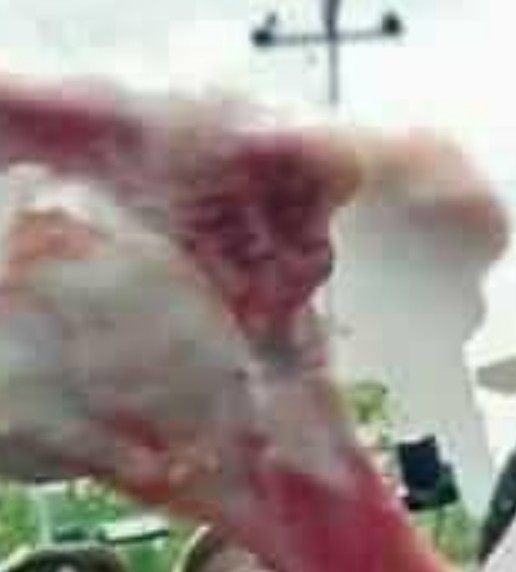 morphed hand