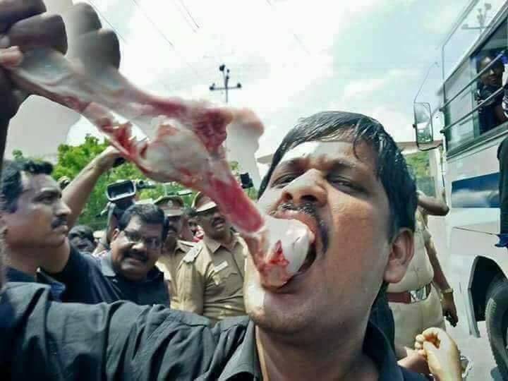 fake cow flesh eating off bone image