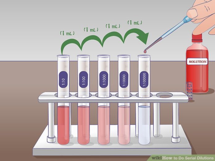 Image result for serial dilution 1:100
