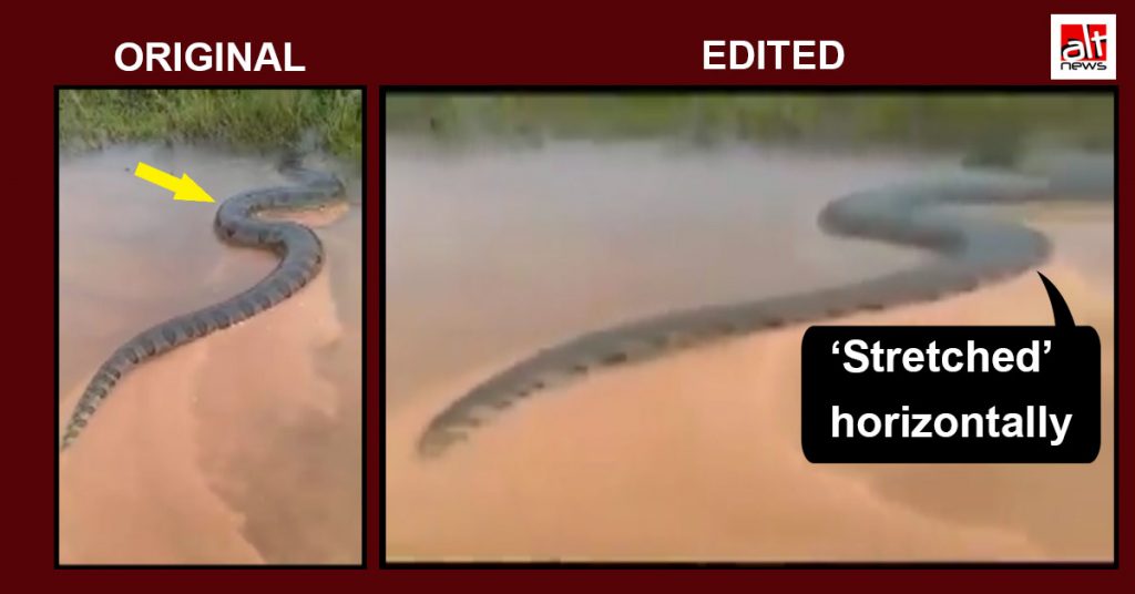 Two-year-old boy plays with giant snake in viral video