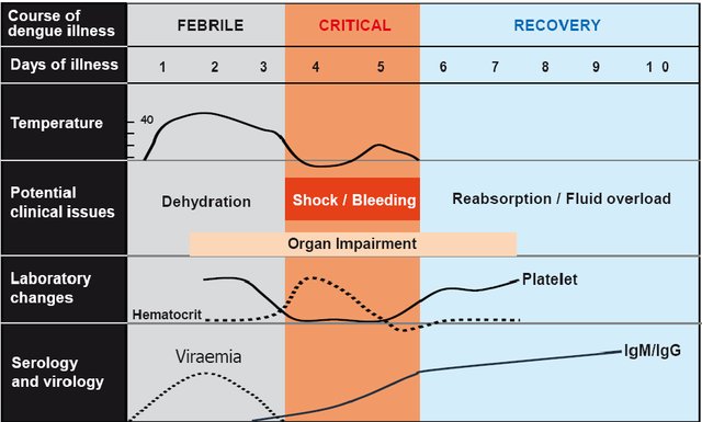 https://www.researchgate.net/profile/Muhammad_Zaman_Khan_Assir/publication/242655420/figure/fig2/AS:298516212666372@1448183219289/Clinical-course-of-dengue-virus-infection-7_W640.jpg