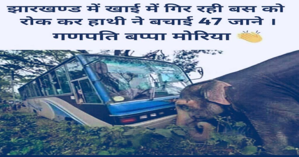 क्या झारखण्ड में एक हाथी ने 47 जाने बचाई?