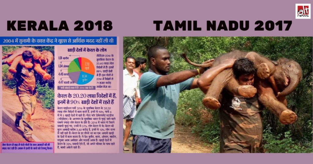 दैनिक भास्कर ने ऊटी, तमिलनाडु में हाथी के बच्चे को बचाने की पुरानी तस्वीर केरल की बताकर छापी