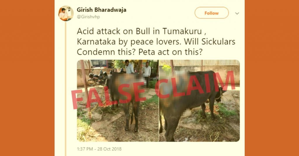 अज्ञात बदमाशों द्वारा सांड पर एसिड हमले को विहिप कार्यकर्ता ने सांप्रदायिक रंग दिया