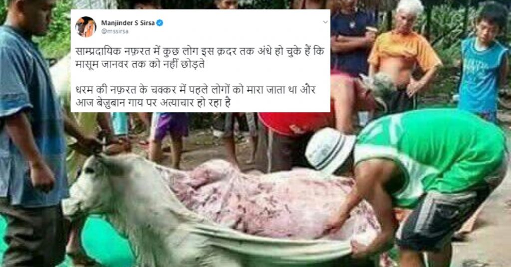 गाय की चमड़ी निकाले जाने की वायरल तस्वीर भारत की नहीं है