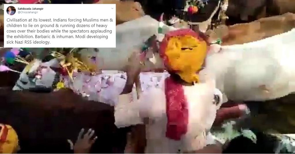 हिन्दू रिवाज़ का वीडियो भारत में मुस्लिमों पर ज़बरदस्ती गायों को दौड़ाने के रूप में साझा