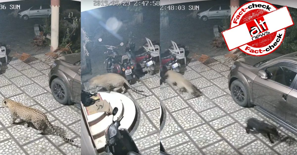 महाराष्ट्र के नासिक में पालतू कुत्ते पर तेंदुआ के हमले का वीडियो गुजरात का बताकर शेयर