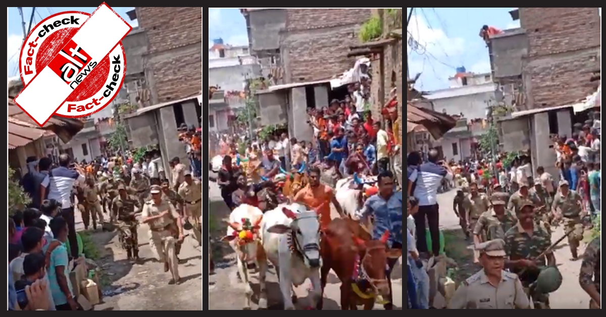पाक सोशल मीडिया में पोला त्यौहार का वीडियो, भारतीय पुलिस के पीछे बैल दौड़ाने के गलत दावे से प्रसारित