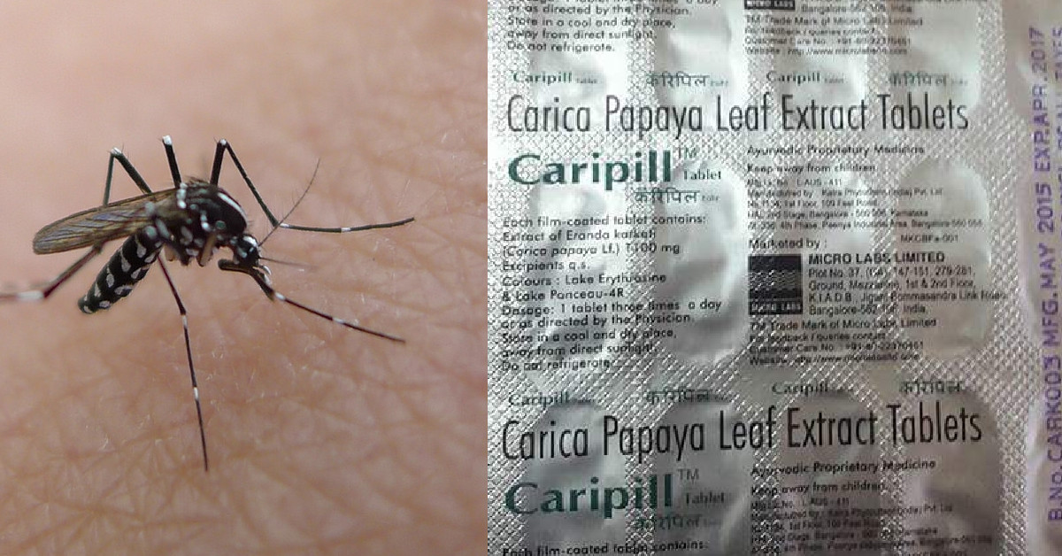 क्या पपीता पत्तियों के रस से बनी दवा ‘कैरीपिल’ डेंगू वायरस संक्रमण का इलाज है?