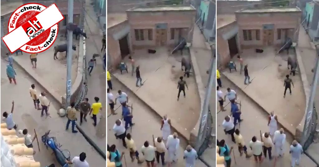 क्रिकेट से शुरू हुए झगड़े ने सांप्रदायिक रूप लिया, वीडियो राजनीतिक पार्टियों से जोड़कर शेयर किया गया