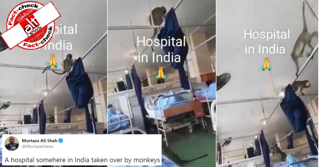 साउथ अफ़्रीका के अस्पताल में बंदर उत्पात मचा रहे थे, वीडियो इंडिया का बताकर शेयर किया गया