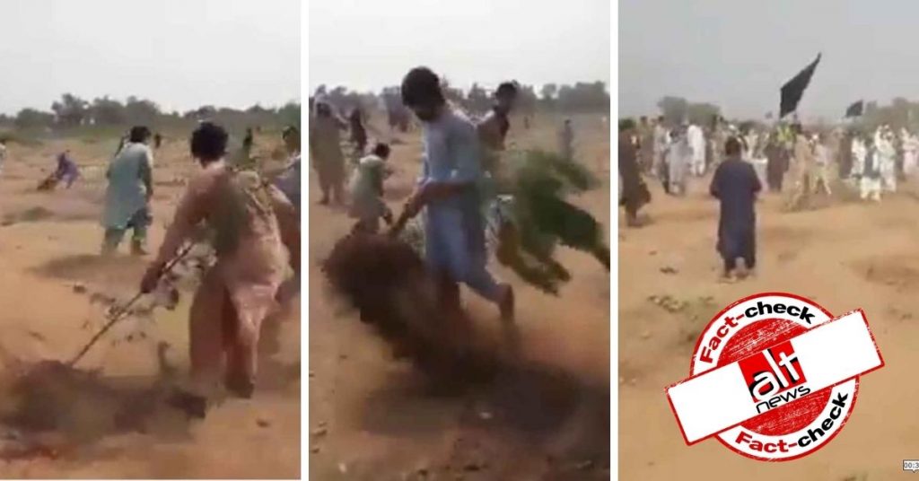 पाकिस्तान में विवादित ज़मीन पर लगे पेड़ लोगों ने उखाड़े, वीडियो ऐंटी-मुस्लिम दावों के साथ वायरल