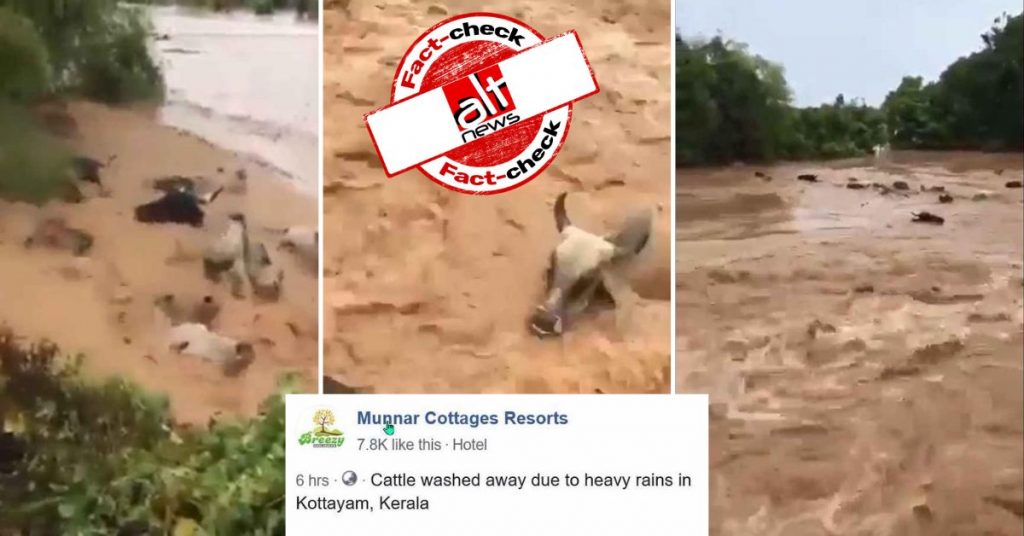 मेक्सिको की बाढ़ में बहते मवेशियों का वीडियो केरला का बताकर किया जा रहा शेयर