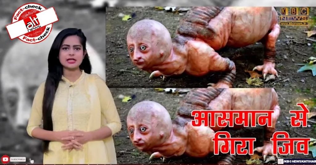 दरभंगा में ‘यास’ चक्रवात के बाद आसमान से ‘ख़तरनाक जीव’ गिरने का ग़लत दावा वायरल
