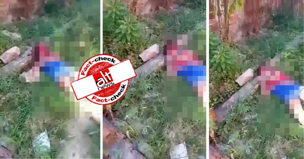 ब्राज़ील का वीभत्स वीडियो भारत में ‘लव जिहाद की शिकार’ महिला के मारे जाने के दावे से शेयर