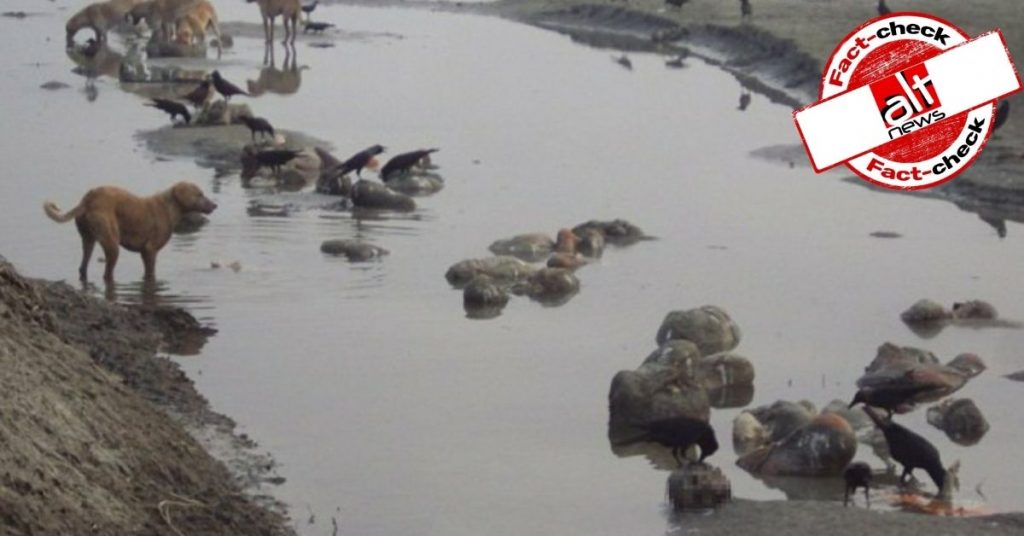 गंगा में शव तैरते मिलने की घटना से जोड़कर सोशल मीडिया पर वायरल हुई 6 साल पुरानी तस्वीर