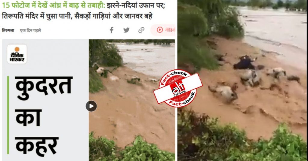 बाढ़ में बहते हुए मवेशियों का वीडियो आंध्र प्रदेश का नहीं, मेक्सिको का वीडियो फिर से शेयर