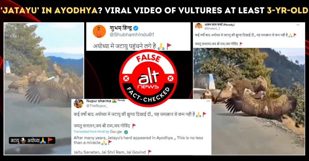 ‘अयोध्या में जटायु’? गिद्धों के वायरल वीडियो का राम मंदिर से कोई संबंध नहीं है
