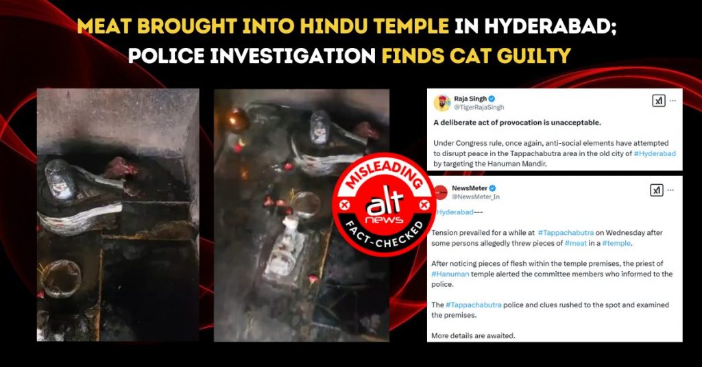 हैदराबाद में एक हिंदू मंदिर में मांस पाए जाने पर हुए विवाद के बाद, छानबीन में दोषी निकली बिल्ली