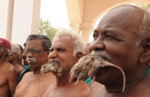 farmers protesting with rats in their mouth in jantar mangar delhi against drought situation in tamil nadu