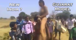 news-bulletin-fi-gujarat-fake-video