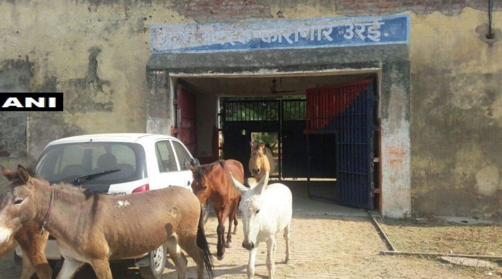One more time, UP Police had nothing to do with the detention of donkeys
