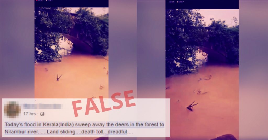 Old video of wildlife swept away by floods in Odisha circulated as recent Kerala floods