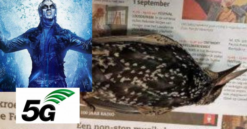 Will birds die as shown in ‘2.0’? Indian media falls for fake news from Netherlands