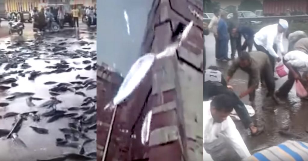 Fish rain in Mumbai? No, manufactured video goes viral