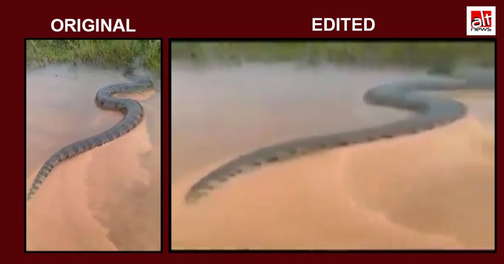 Old, edited video passed off as giant snake seen near Mysuru after heavy rain