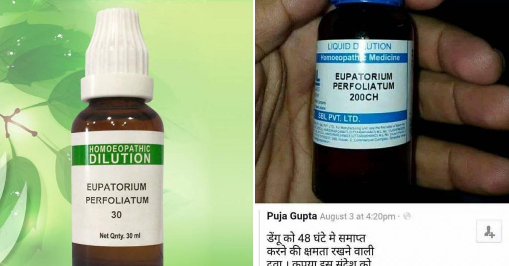 Dengue cannot be cured or prevented with homeopathic treatment Eupatorium Perfoliatum
