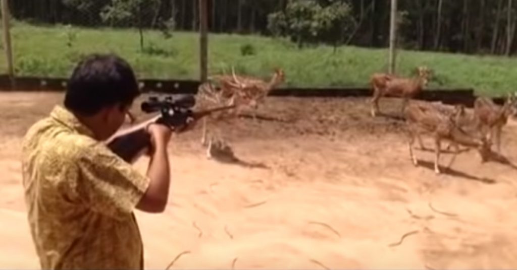 Old video from Bangladesh shared as fictional BJP MLA Anil Upadhyay killing deer