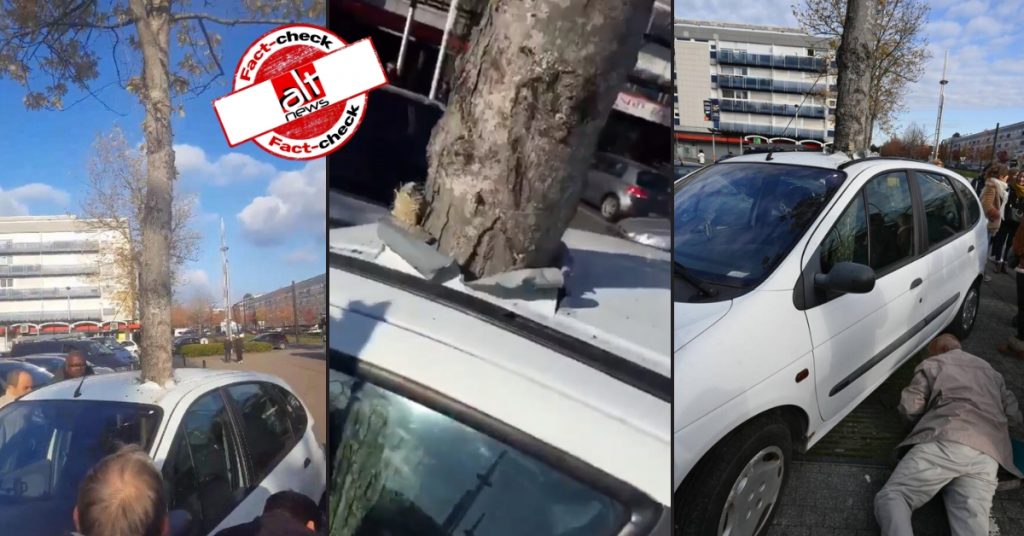 Tree grows through car overnight? No, it is an art installation