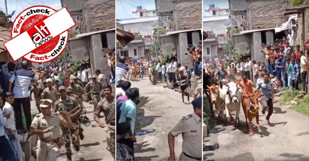 Pak users share video of bull festival as cows unleashed on Indian policemen