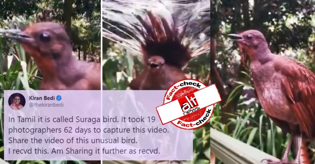 Did it take 19 photographers 62 days to capture this bird? Fact-check