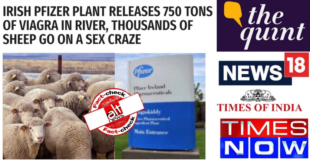 Crazy sex run by Irish sheep after consuming Viagra? Indian media falls for satire