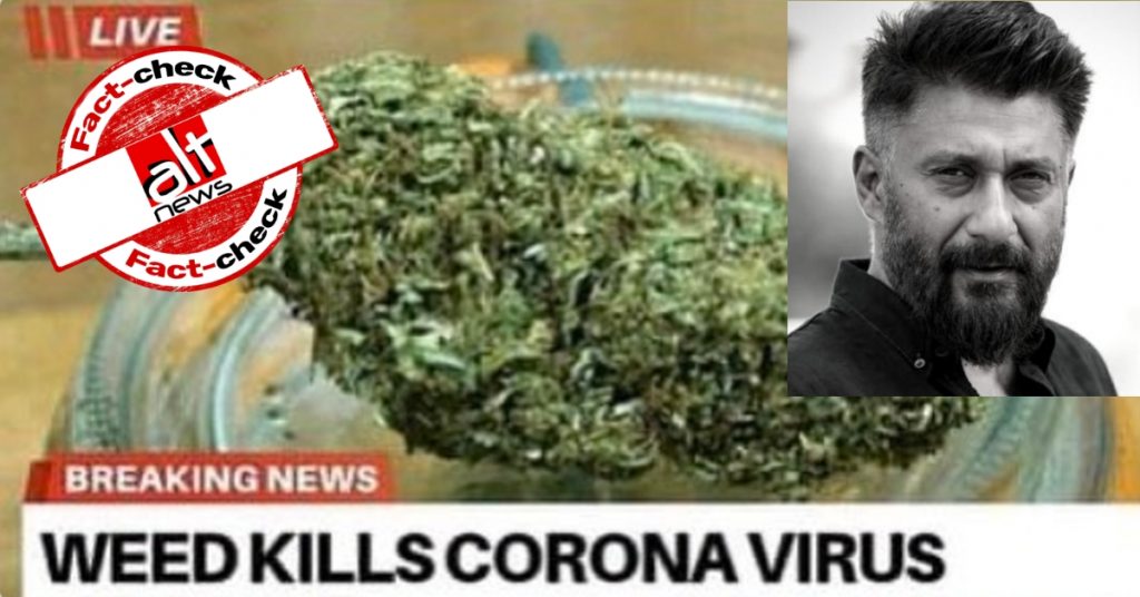 Cannabis kills coronavirus? Vivek Agnihotri shares scientific misinformation via meme
