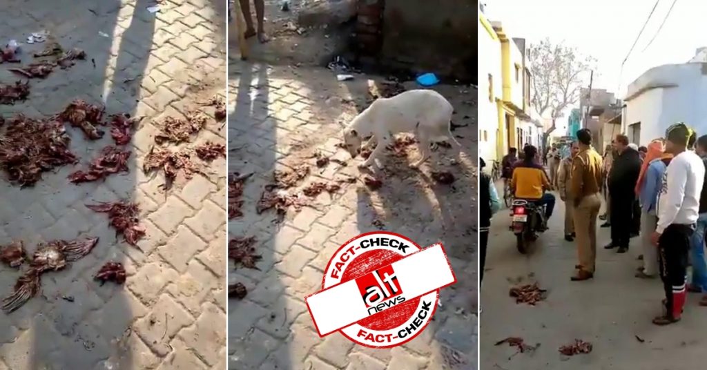 Meats pieces thrown by Muslims outside temple in UP’s Hathras? Police debunks false claim
