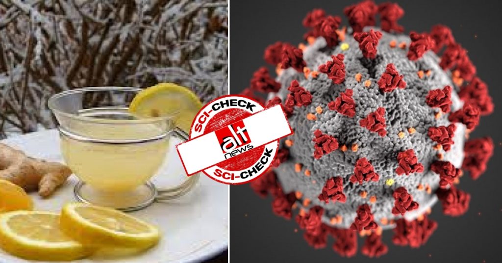 No, Vitamin C and lemon-infused hot water do not protect against coronavirus or cancer