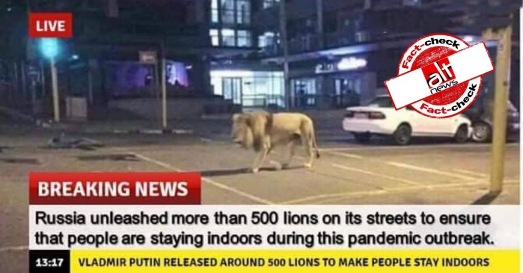 No, Putin has not left 800 lions on Russian streets to ensure lockdown during COVID-19 pandemic