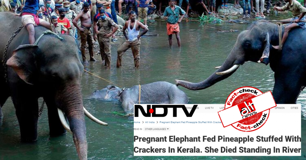 Irresponsible media reports spark anger against Muslims and Kerala in elephant death case