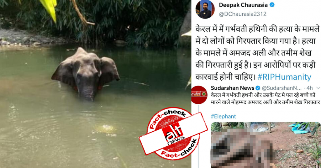 False claim viral about arrest of Amzath Ali and Thamim Shaikh in Kerala elephant death case