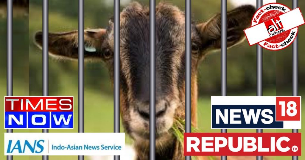 Goat “arrested” for not wearing mask in Kanpur? Bizarre media misreports