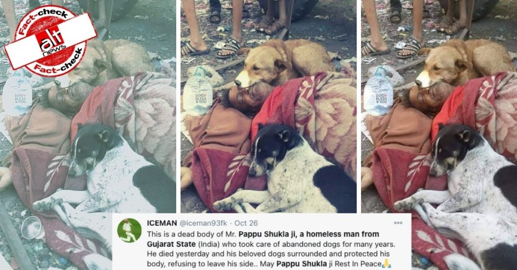 Image from Yemen viral as dead body of ‘Pappu Shukla’ from Gujarat surrounded by dogs