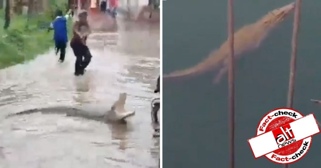 Old videos falsely shared as crocodiles spotted in Hyderabad during heavy rains