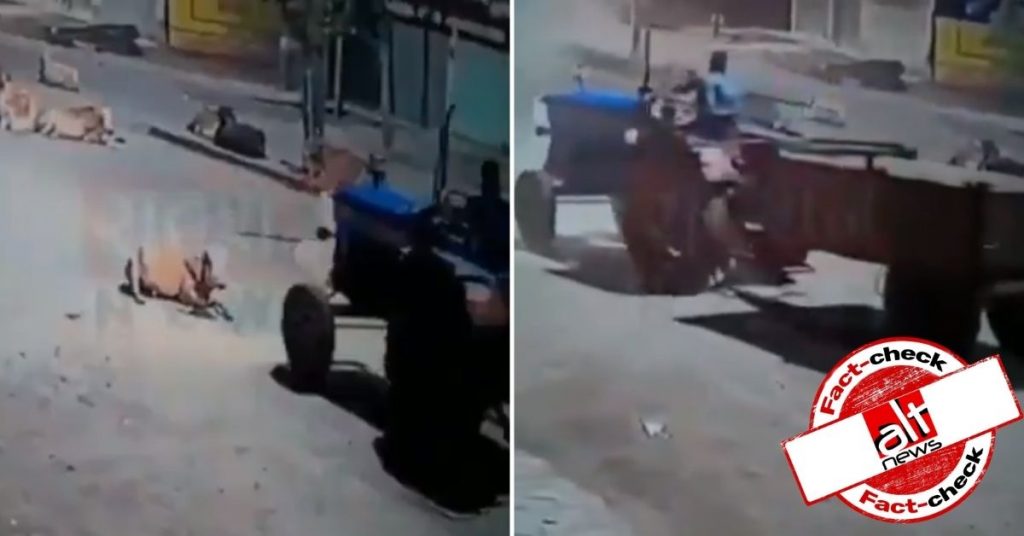 Tractor driver runs over cow, social media falsely alludes accused is Muslim