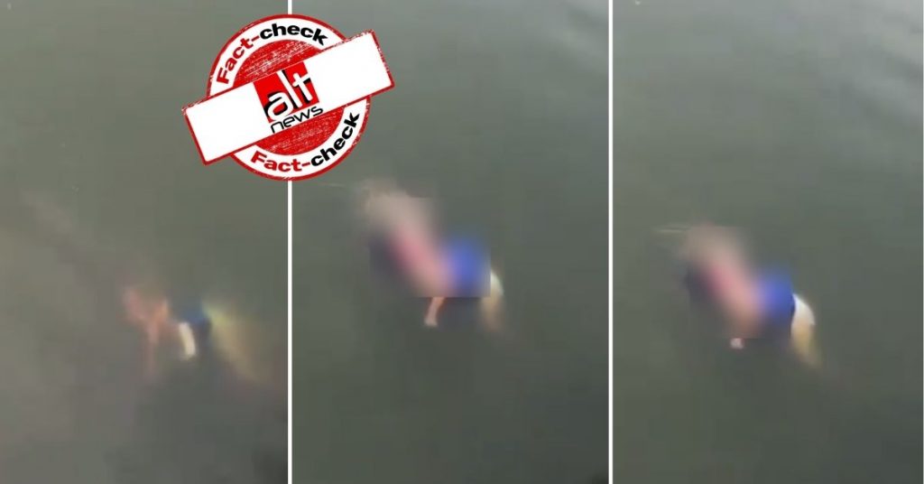 Video of crocodile carrying woman’s body in its mouth is not from India