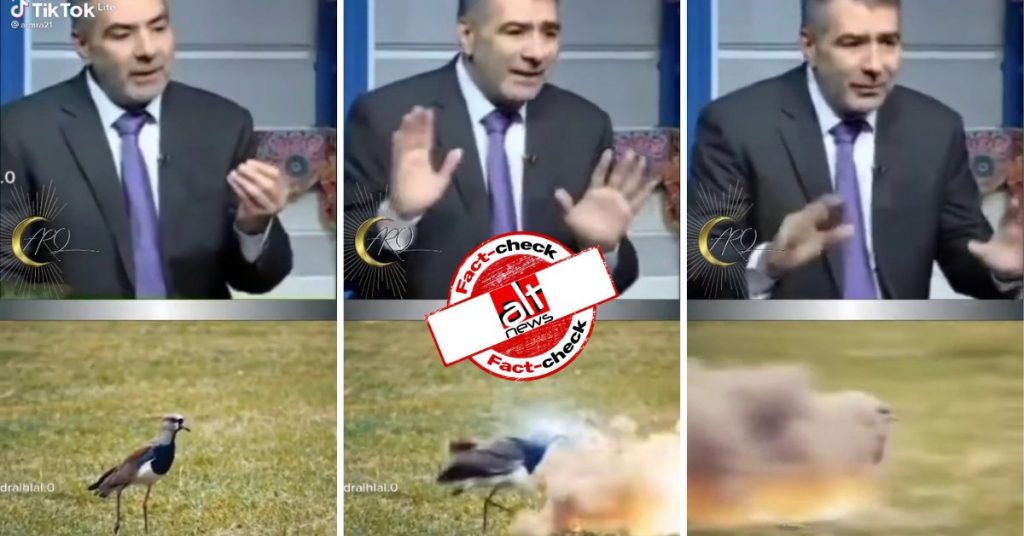 VFX video showing a bird spitting fire believed to be true