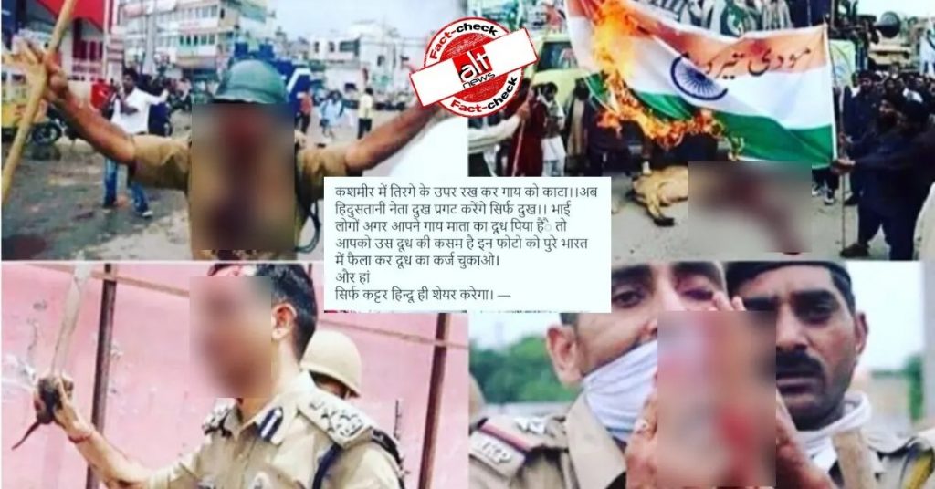 Photo from Pak, unrelated images shared as cow slaughtered on Indian flag in Kashmir